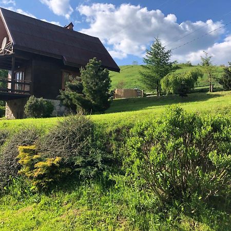 Sadyba Vanda Orjavčyk Exteriér fotografie