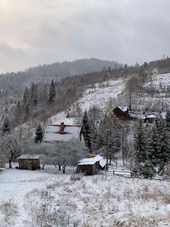 Sadyba Vanda Orjavčyk Exteriér fotografie