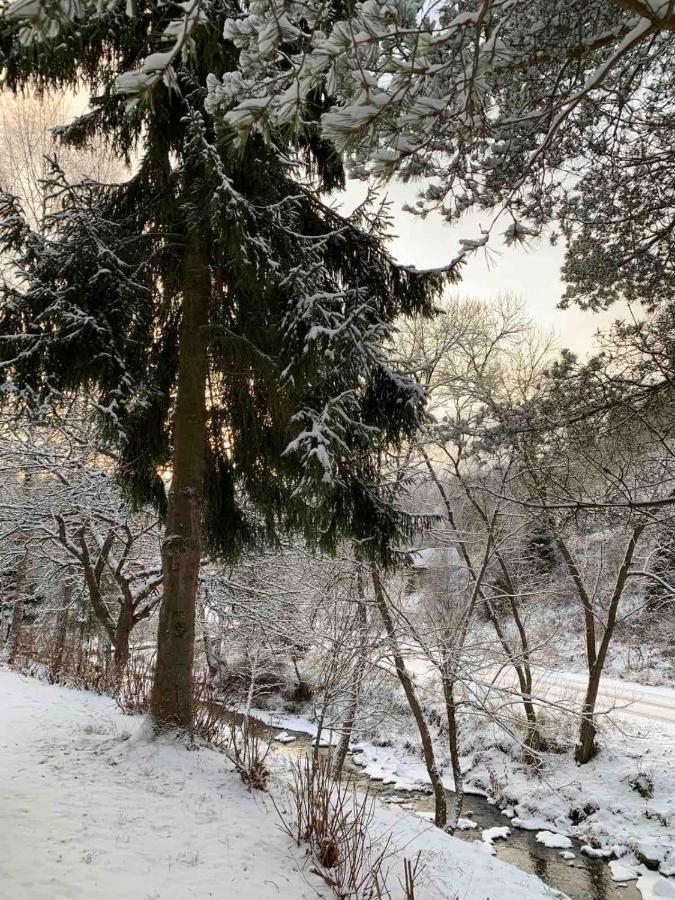 Sadyba Vanda Orjavčyk Exteriér fotografie