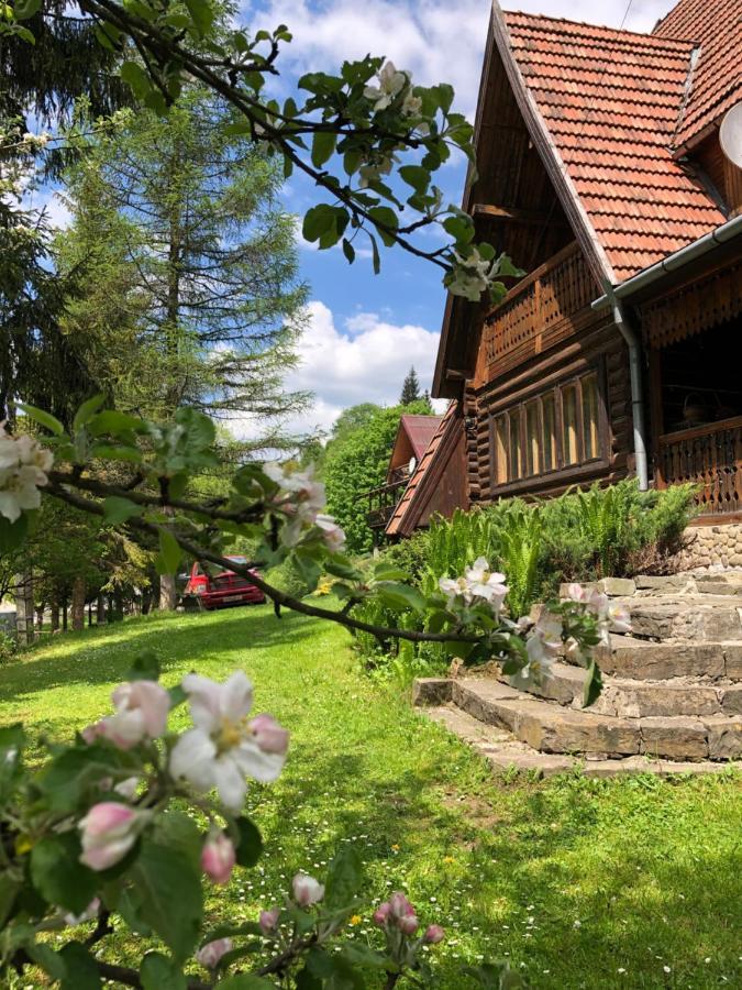 Sadyba Vanda Orjavčyk Exteriér fotografie