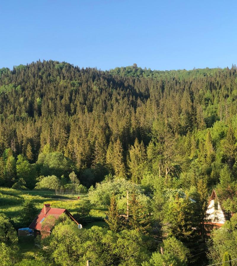 Sadyba Vanda Orjavčyk Exteriér fotografie