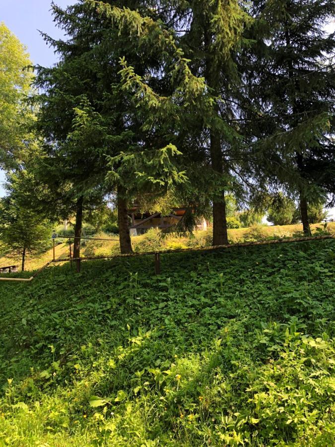 Sadyba Vanda Orjavčyk Exteriér fotografie